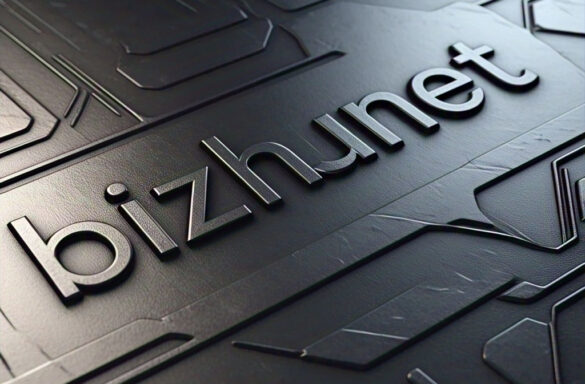 bizhunet